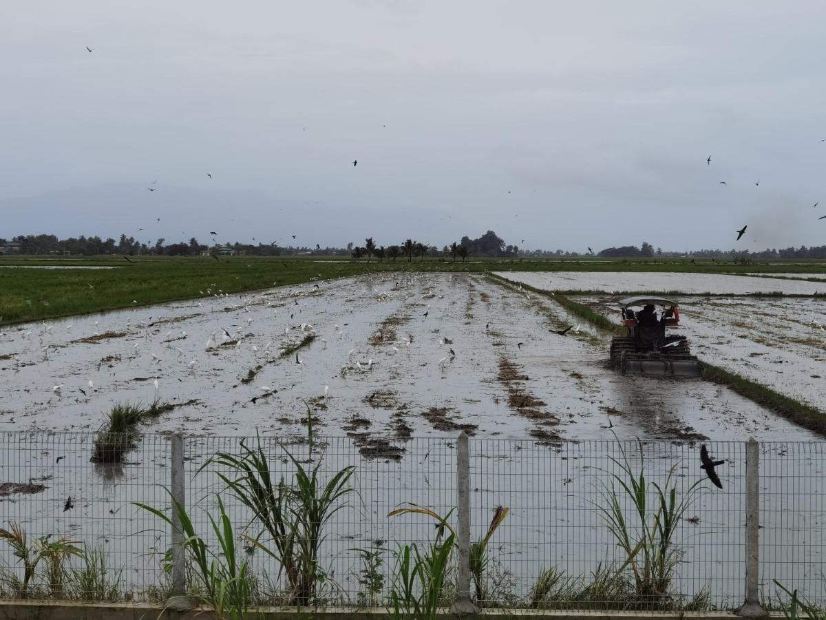 Dangau Sala D'Kontena Alor Setar Bagian luar foto