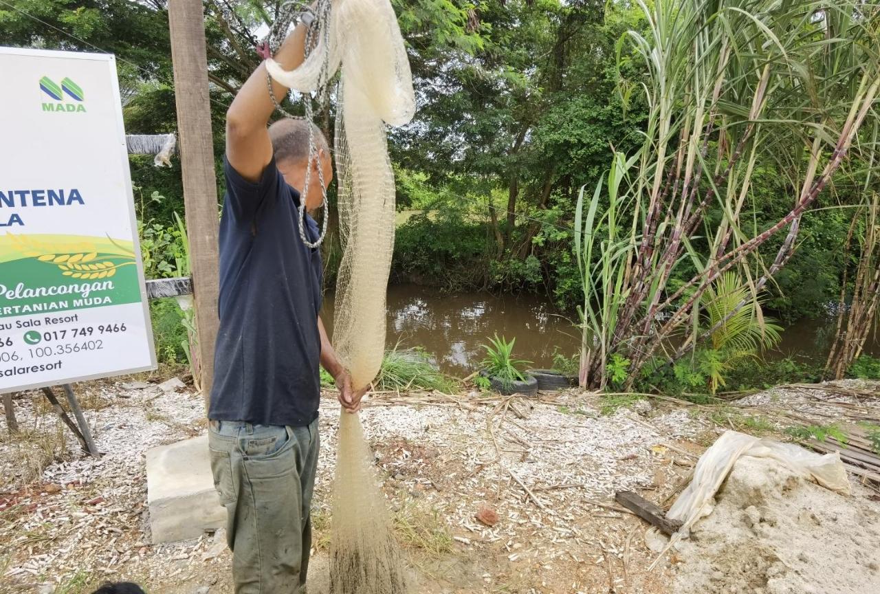 Dangau Sala D'Kontena Alor Setar Bagian luar foto