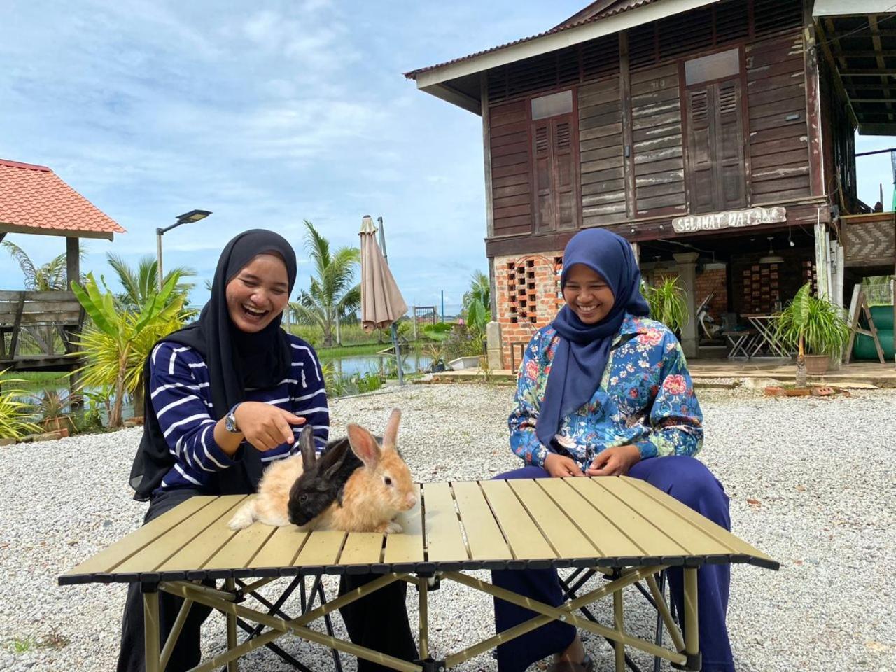 Dangau Sala D'Kontena Alor Setar Bagian luar foto
