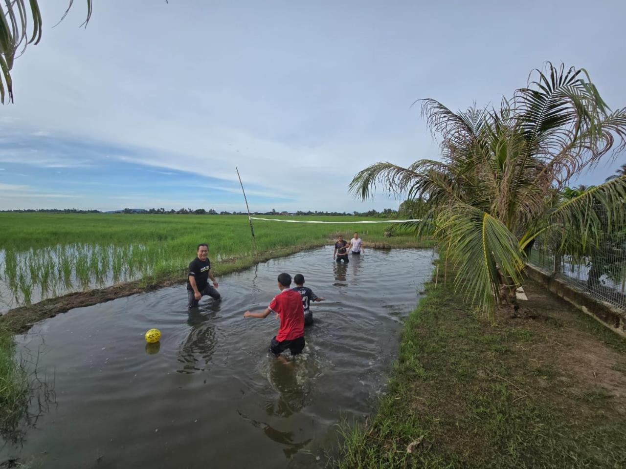 Dangau Sala D'Kontena Alor Setar Bagian luar foto